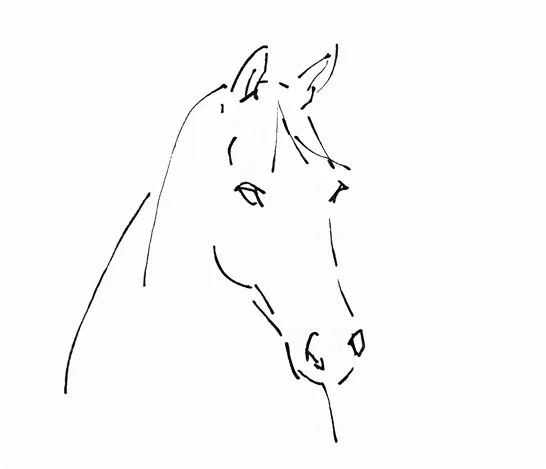 Krea 2 horse portrait drawn with sparse black ink lines on white.